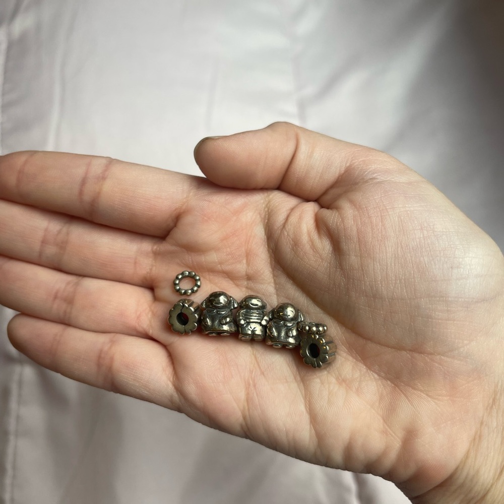 Pandora Charms Bundle
